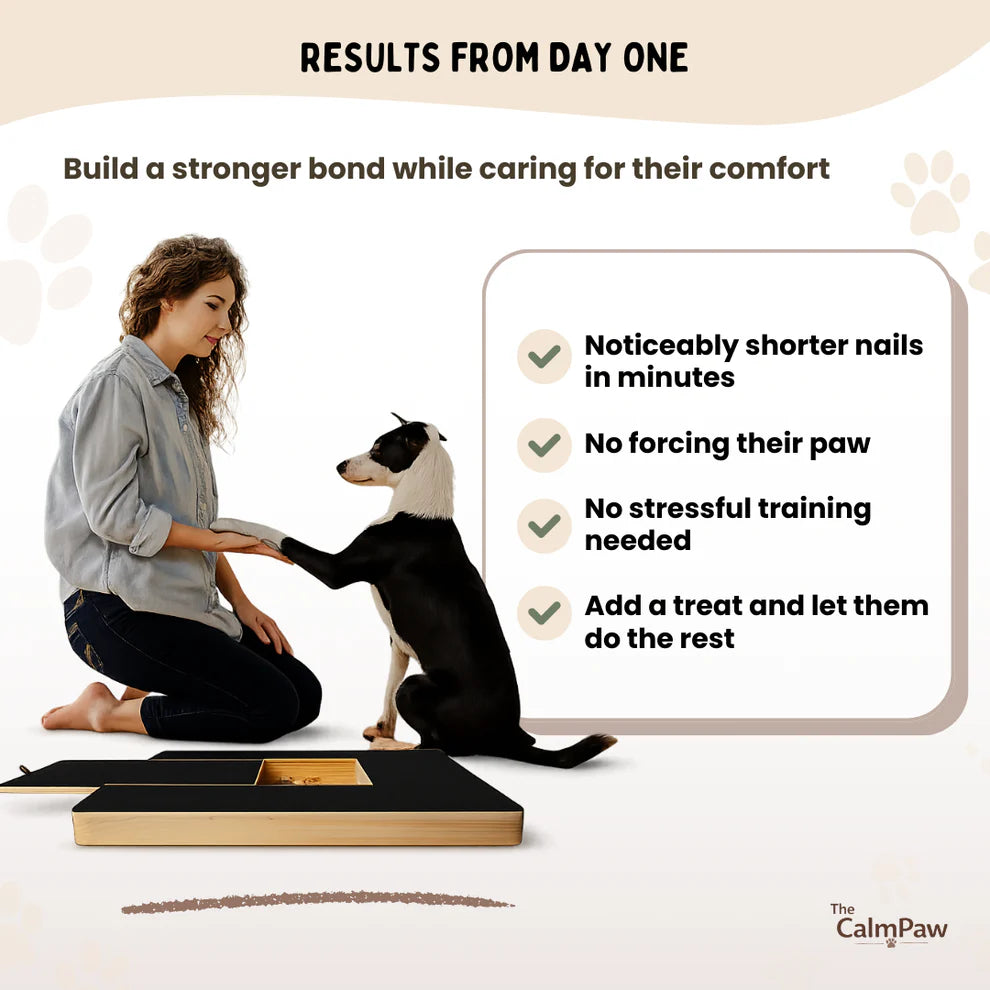 Dog Nail filing board