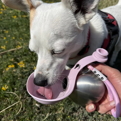 Portable Dog Bowl and Bottle